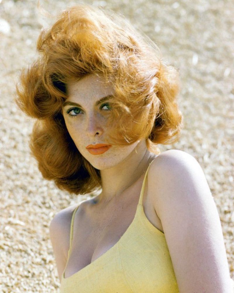 what other porn was tina louise in