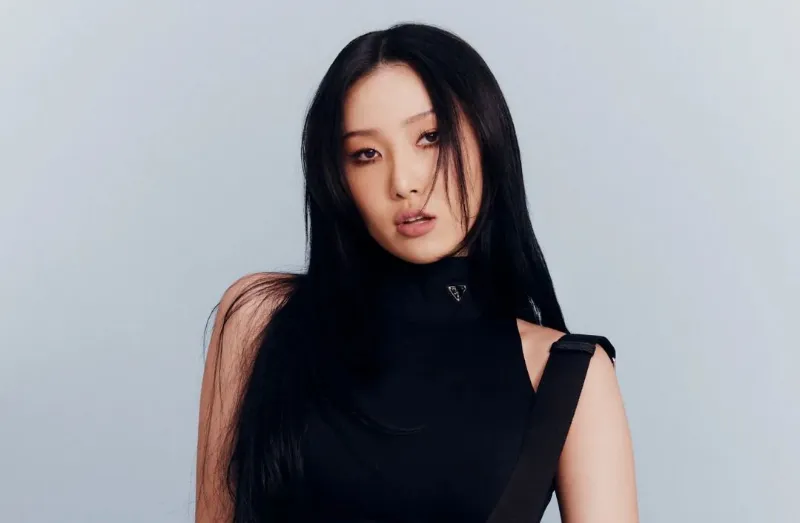 Sexy Photos of Hwasa on the Internet