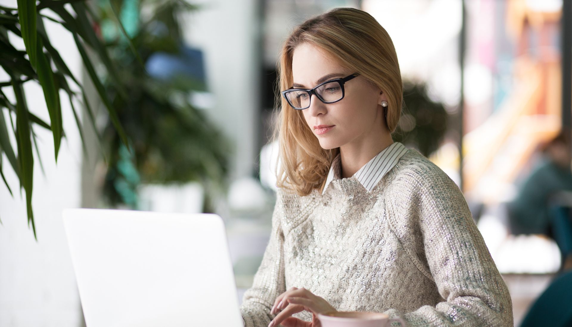 Set Up Your LLC