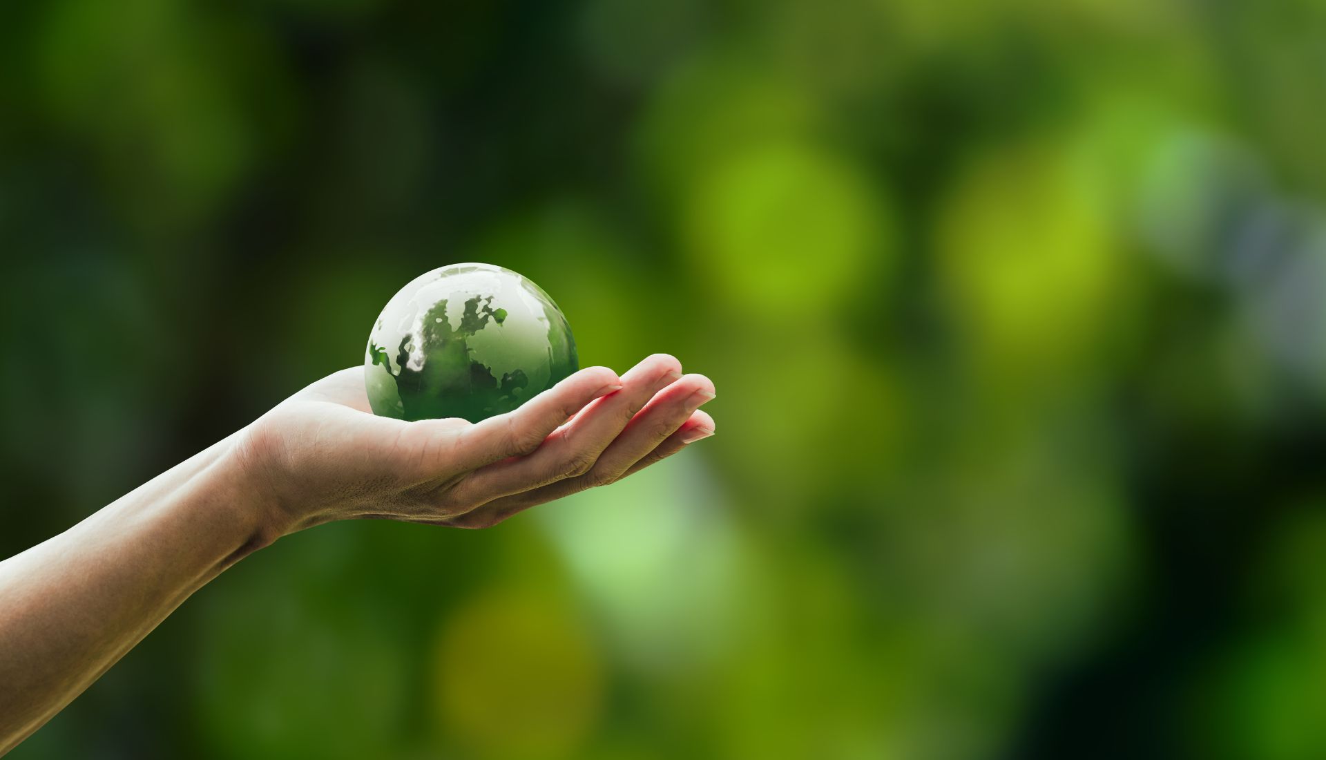 Eco-Friendly Coins