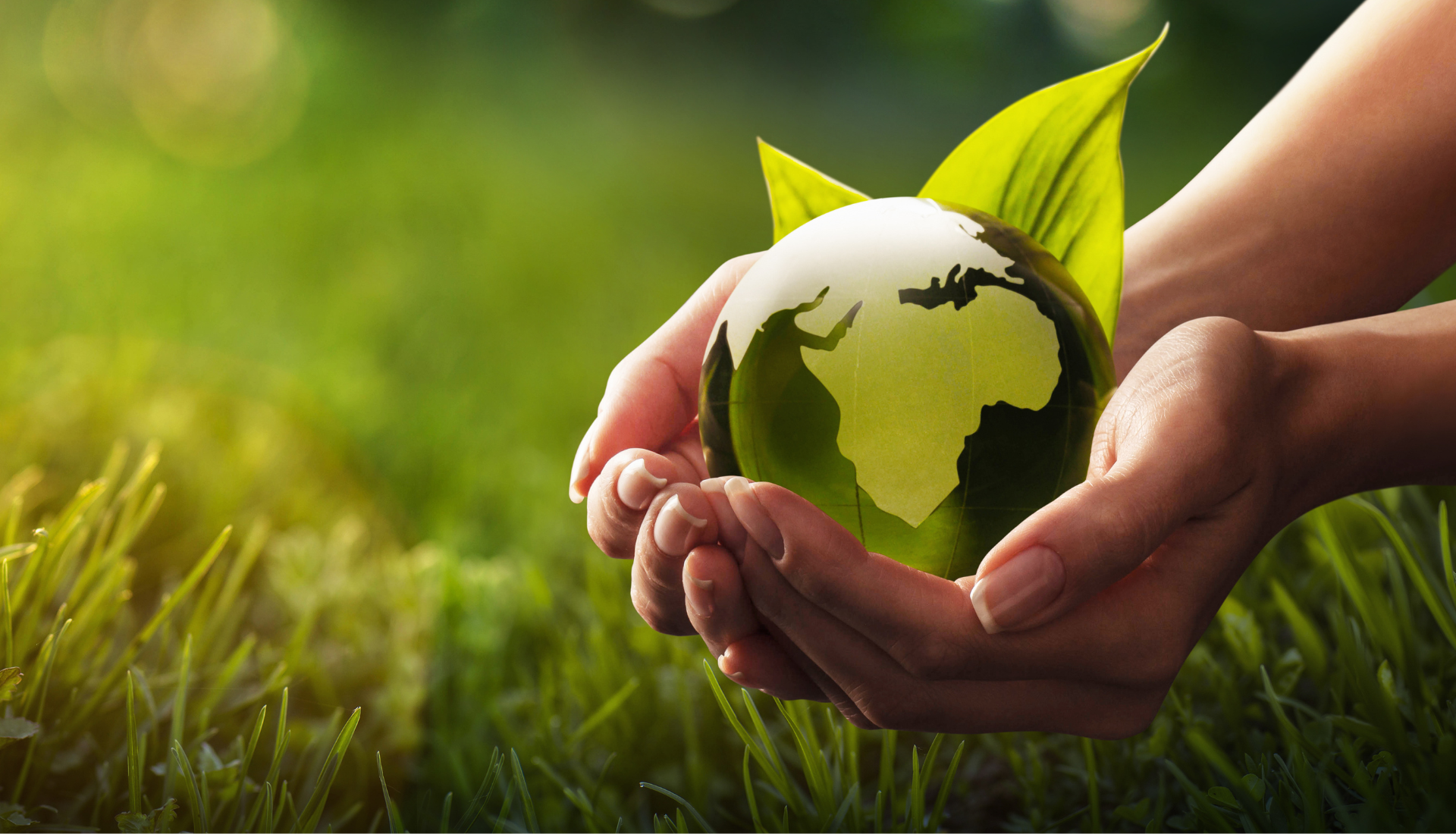 Fighting Climate Change
