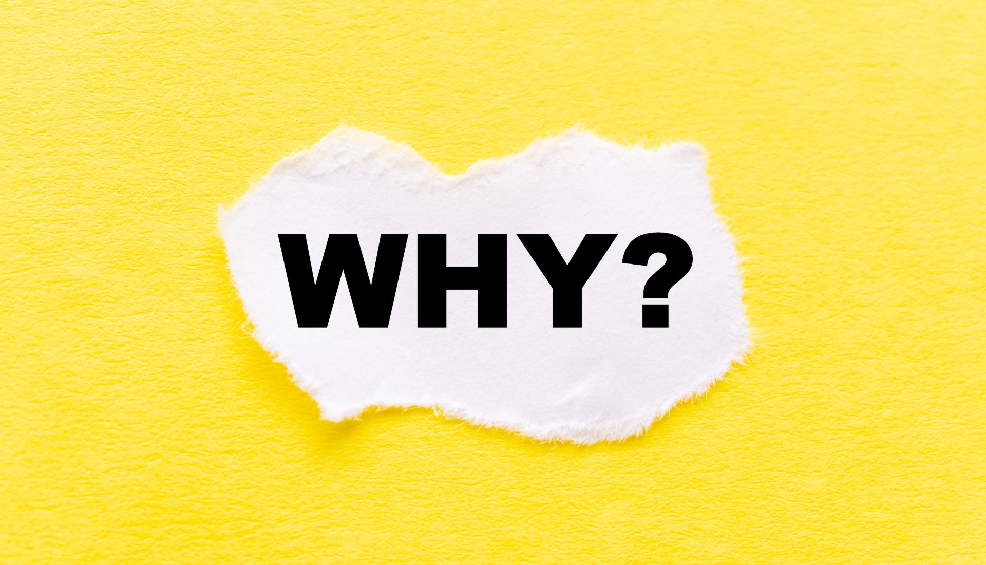 Why You Should Use