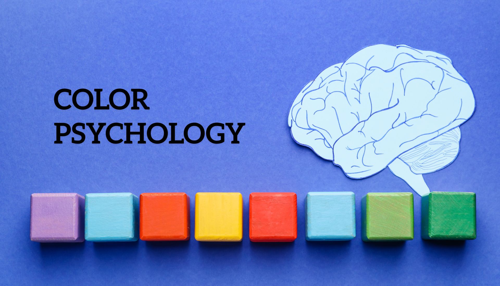 Psychology of Color